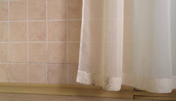 Environmental Consulting for Mold Prevention in Camanche Village, CA