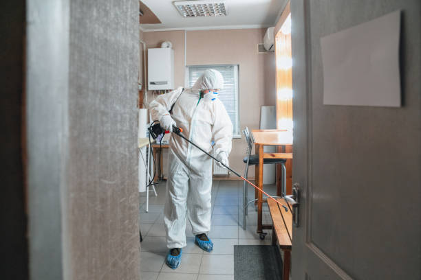 Best Airborne Mold Testing  in Manche Village, CA