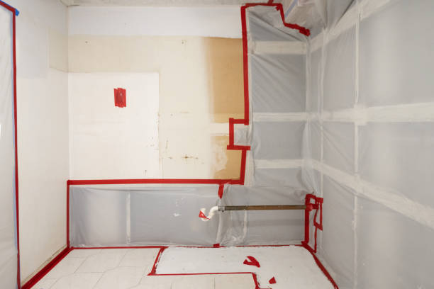 Best Industrial Mold Remediation  in Manche Village, CA