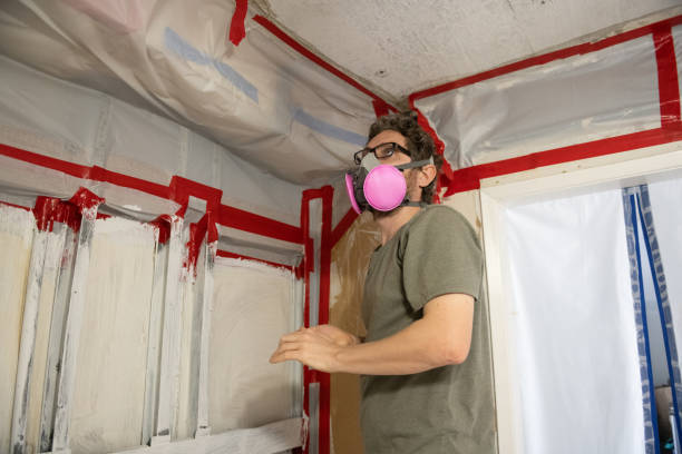 Best Mold Damage Restoration  in Manche Village, CA