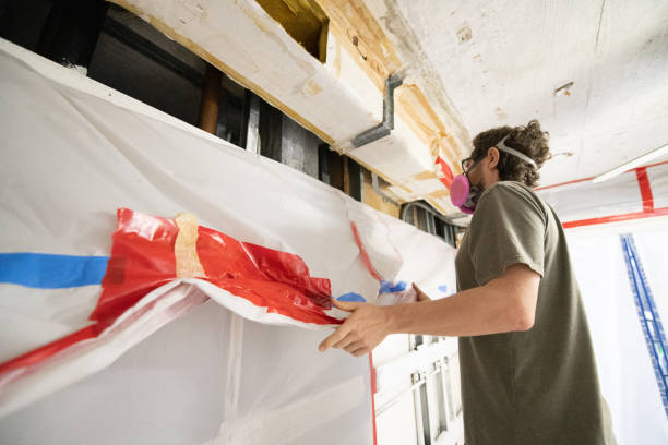 Best Mold Removal for HVAC Installations  in Manche Village, CA